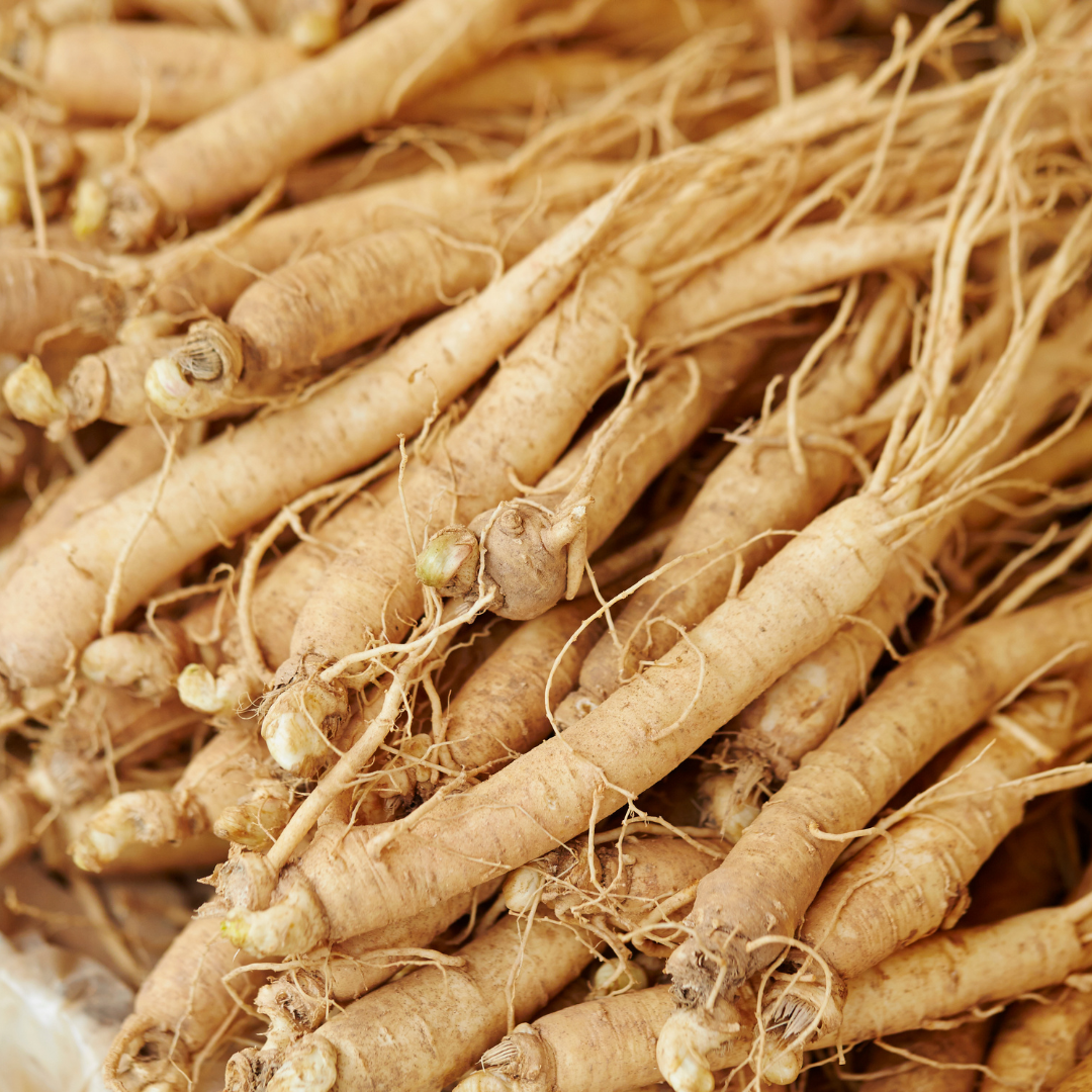 Ginseng